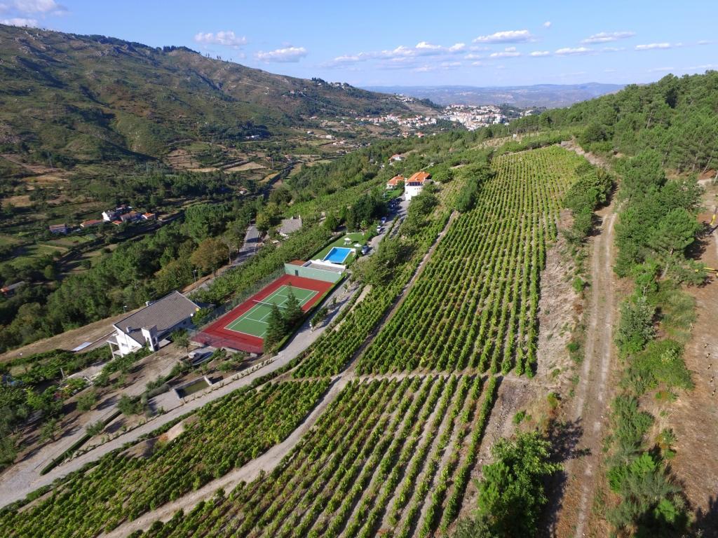 Гостьовий будинок Quinta Da Timpeira Ламегу Екстер'єр фото
