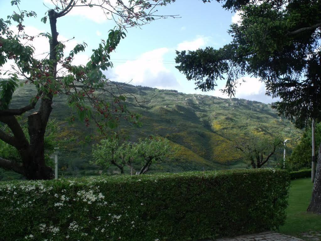 Гостьовий будинок Quinta Da Timpeira Ламегу Екстер'єр фото