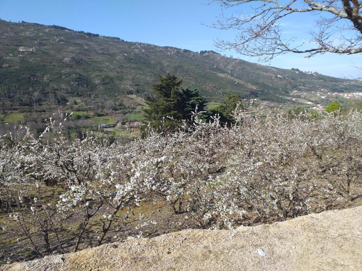 Гостьовий будинок Quinta Da Timpeira Ламегу Екстер'єр фото